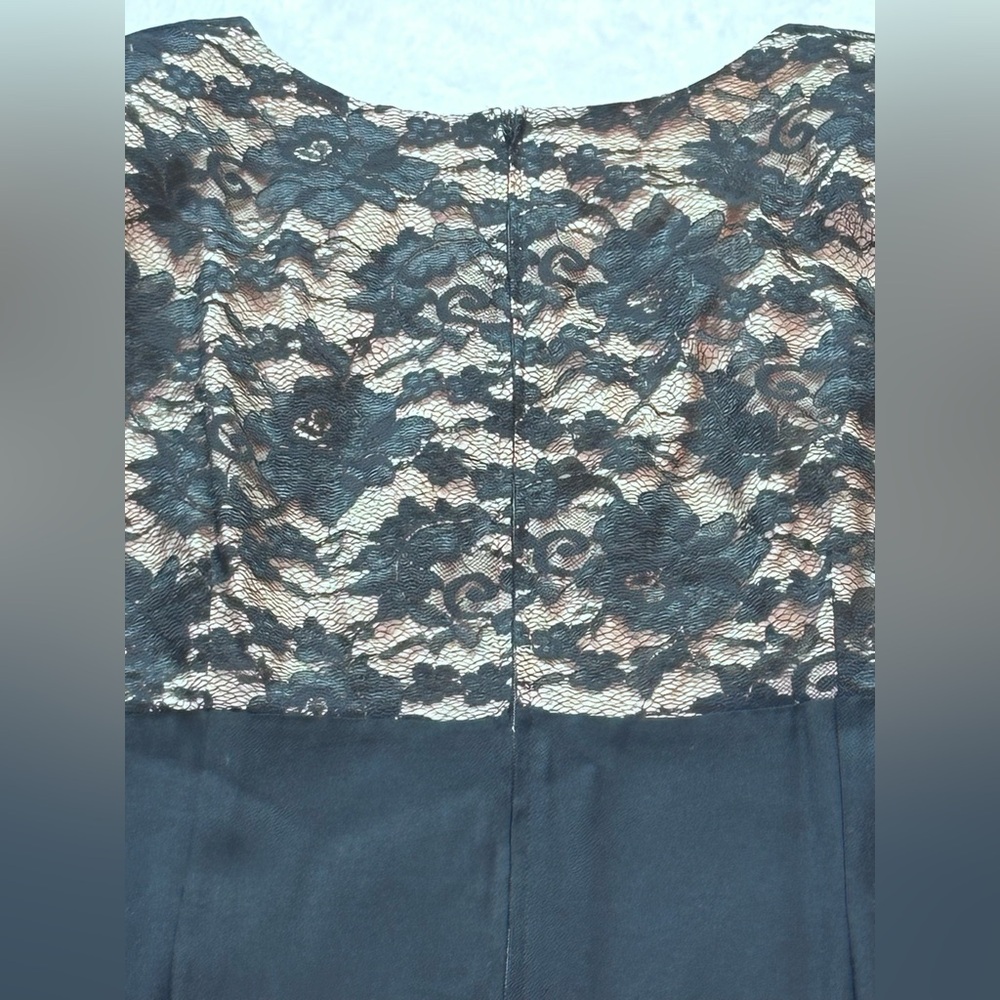 Lois Snyder For Dani Max Woman - 22 Lace Overlay Dress Formal Sheath - Picture 11 of 11